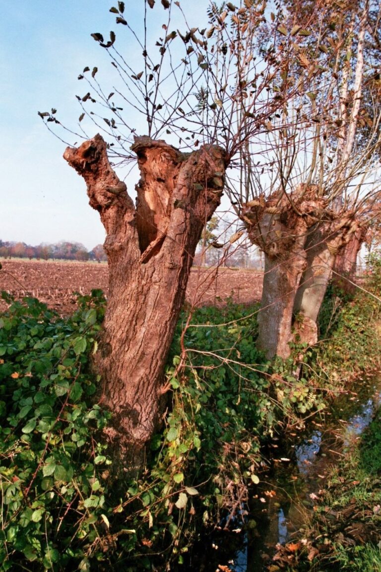 Expositie Sybren Dusseljee